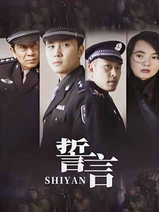 太阳后裔的保镖