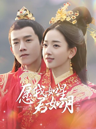 愿我如星君如月2